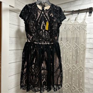 NEW Alexia Admor Black Nude Lace Dress XS